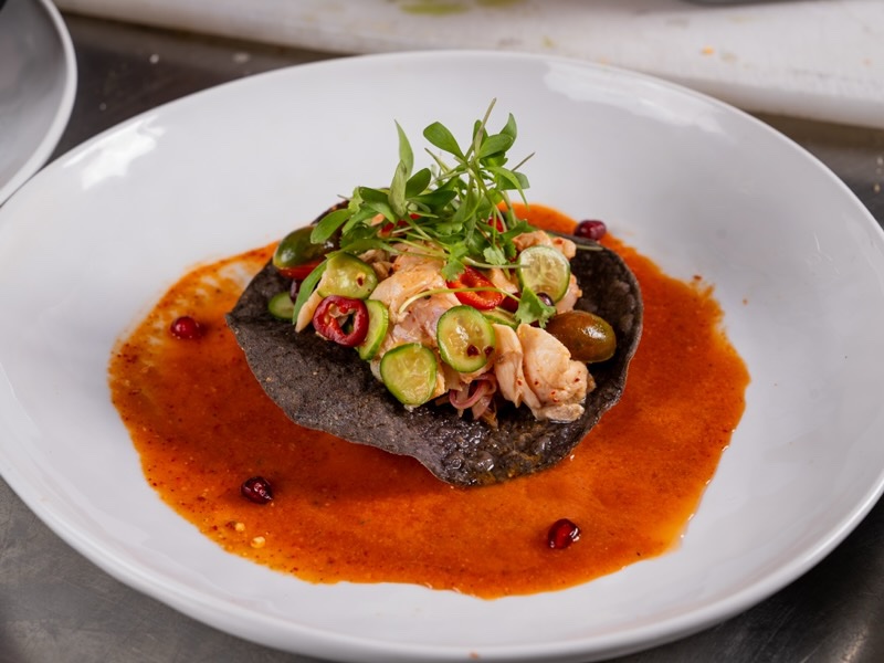 Blue corn tostada topped with seafood, cucumber and microgreens in a red chile sauce