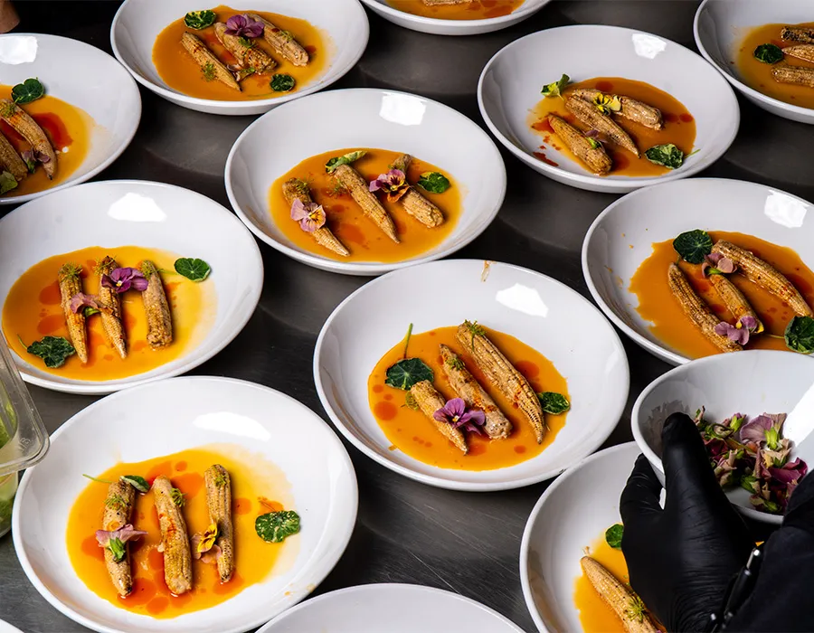Rows of plated fish in orange sauce ready for service