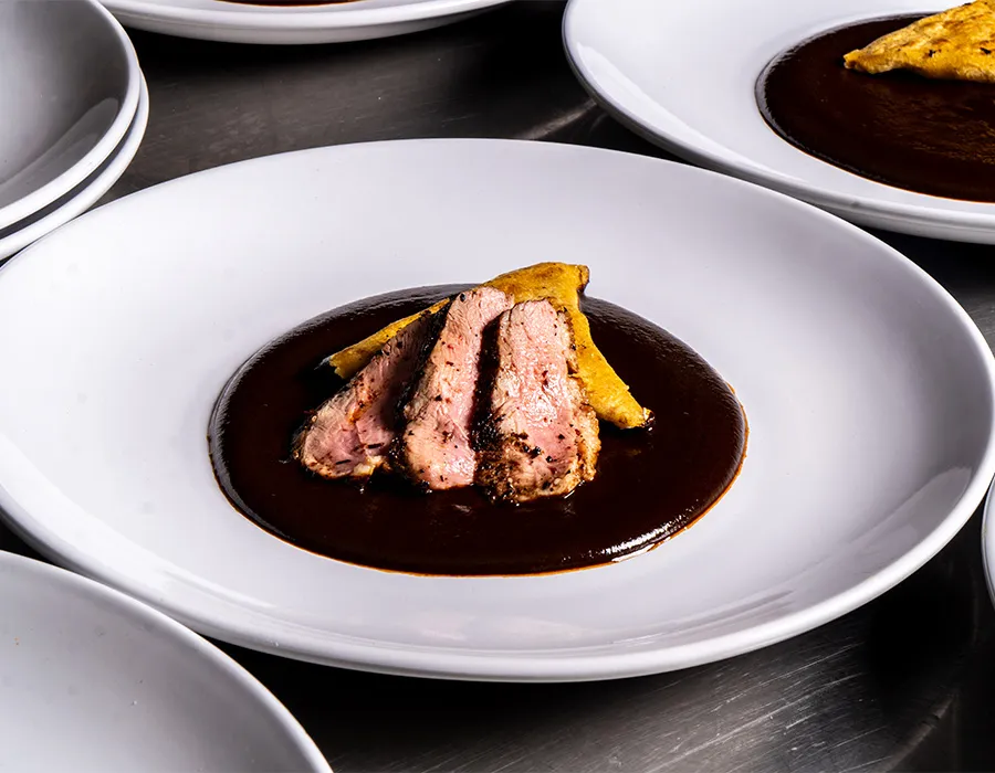 Sliced duck breast in dark mole sauce